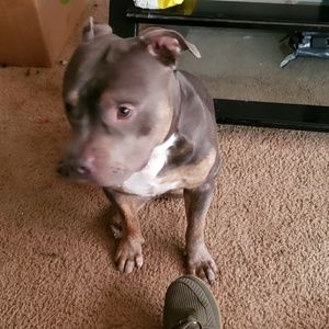 Meet your Posher, Marcus